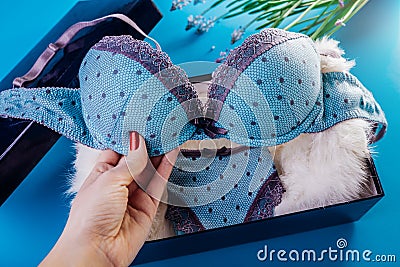 Set of female underwear in the gift box with spring flowers. Woman opens a present for a Women`s Day Stock Photo