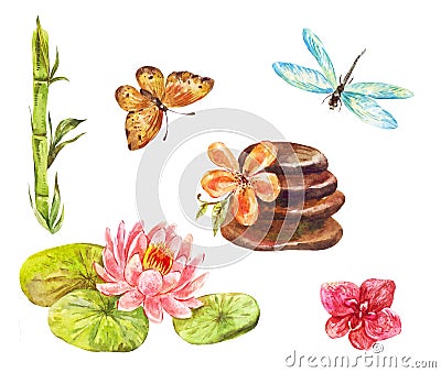 Set of feng shui symbols. Watercolor illustrations of lotus, mas Cartoon Illustration