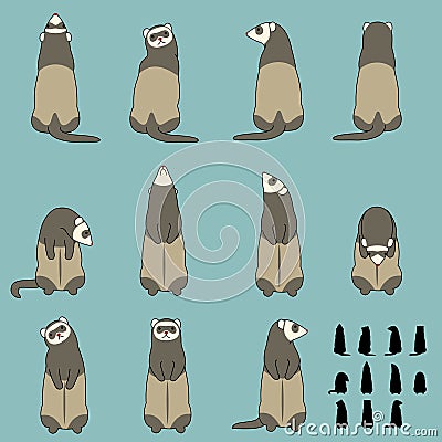 Set of ferret sitting poses Vector Illustration