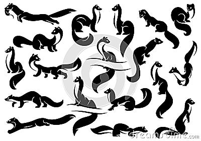 A set of figures of weasels, martens, ferrets. Vector Illustration