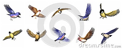 Set of finch birds - 3D render Stock Photo