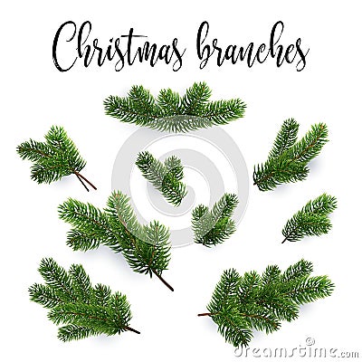 Set of fir branches. Christmas tree, pine, conifer Vector Illustration