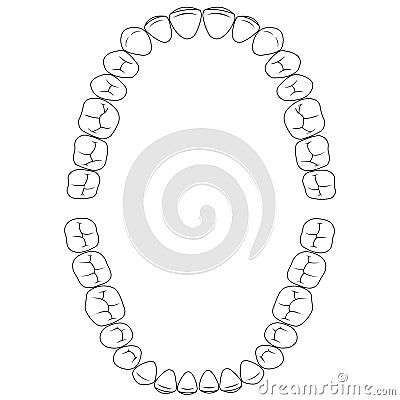 Set fissures teeth, the chewing surface of teeth upper and lower jaw, dental vector illustration for print or design dental Vector Illustration
