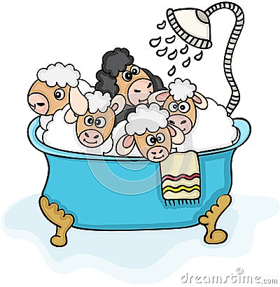 Set of five cute sheep in bathtub with shower Vector Illustration