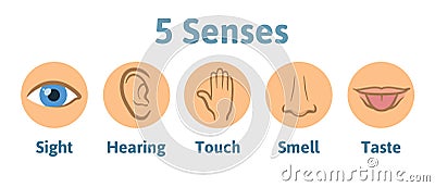 Set of five human senses icon: vision, hearing, smell, hearing, touch, taste. Eye, ear, hand, nose and mouth with tongue Vector Illustration