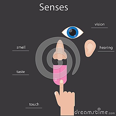 Set of five human senses. Icons of human senses. Infographics about human senses. Vector Illustration
