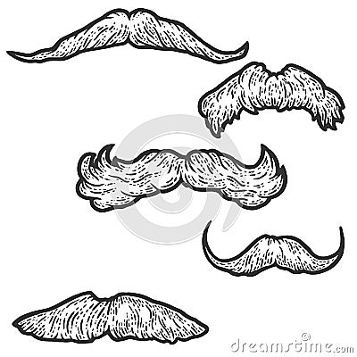 Set, five male retro mustaches. Sketch scratch board imitation coloring. Cartoon Illustration