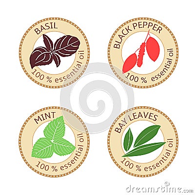 Set of flat essential oil labels. 100 percent. Bay leaves, basil, black pepper, mint Vector Illustration