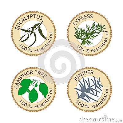 Set of flat essential oil labels. 100 percent. Eucalyptus, cypress, camphor tree, juniper Vector Illustration