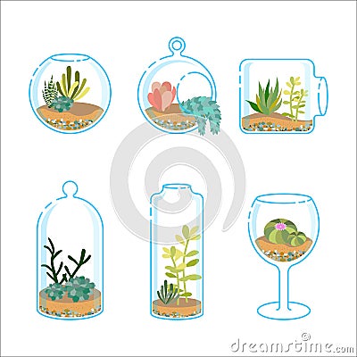 Set of flat florariums with different succulents and cactus for design modern interior. Plant in a glass aquarium. Vector Illustration