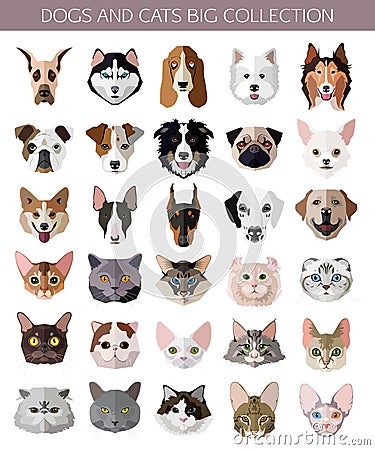 Set of flat popular Breeds of Cats and Dogs icons Vector Illustration