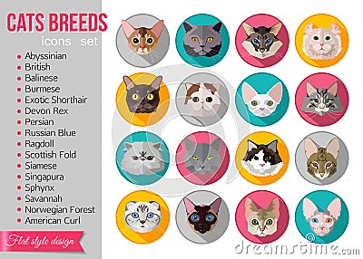 Set of flat popular breeds of cats icons Vector Illustration