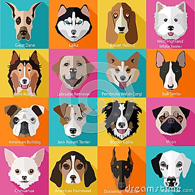 Set of flat popular breeds of dogs icons Vector Illustration