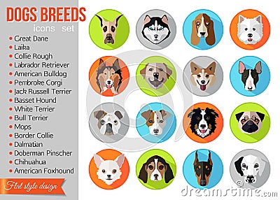 Set of flat popular breeds of dogs icons Vector Illustration