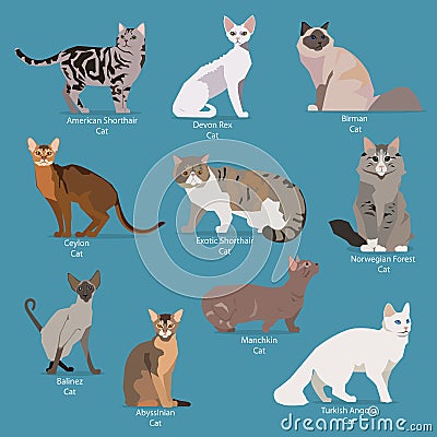 Set of flat sitting or walking cute cartoon cats Vector Illustration