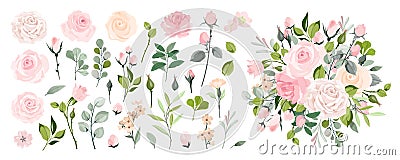 Set of floral branch. Flower pink rose, green leaves. Wedding concept with flowers. Vector Illustration