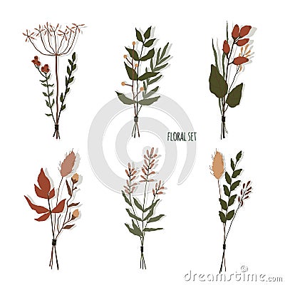 Set of floral elements. Botanical collection. bunches of wild herbs. Flowers, leaves, branches and other natural Vector Illustration