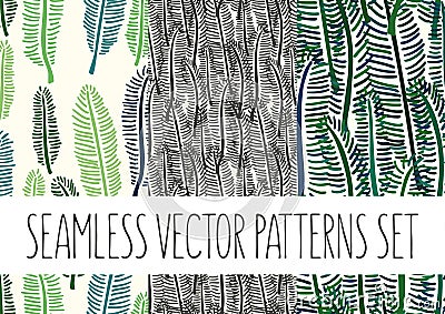Set of floral patterns with palm tree leafs Vector Illustration
