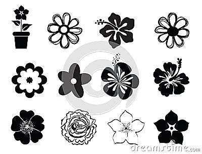 Set of flower illustrations Vector Illustration