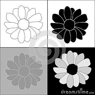 Set of flowers on four background Vector Illustration