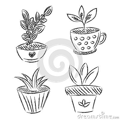 Set of flowers house plant hand drawn vector outline doodle icon. Collectoin decorative potted house plant sketch Vector Illustration