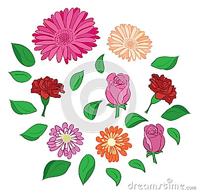 Set of flowers and leaves - vector Vector Illustration