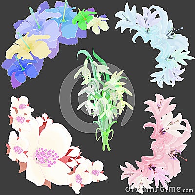 Set flowers lily jasmine, hibiscus, snowdrop. vector illustration Vector Illustration