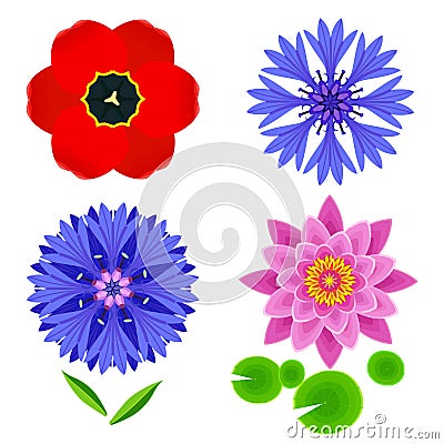 Set of flowers tulip, lotus, cornflower isolated over white Vector Illustration