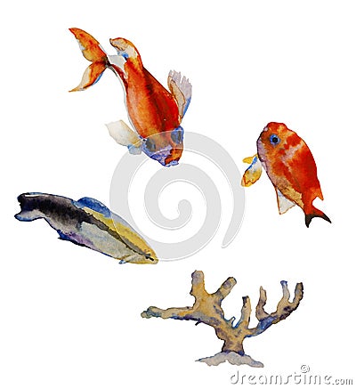 Set fo watercolor tropic fishes and coral isolated on white background. Bluestreak Cleaner Wrasse as Labroides dimidiatus, Stock Photo