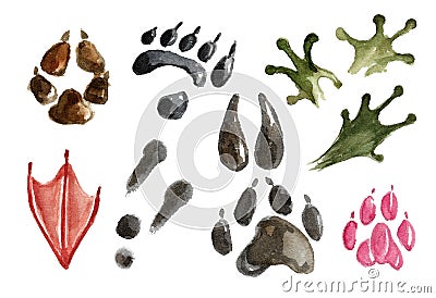 Set of footprints and paws of wild and domestic animals. Stock Photo