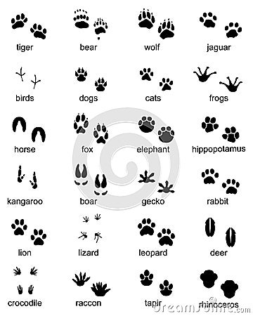 Set of footprints of wild animals Cartoon Illustration