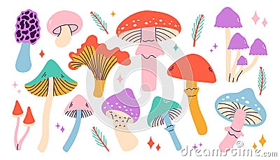 Set of forest abstract mushroom, chanterelles, honey agarics, fly agarics. Poisonous ingredients for witch potion. Vector Illustration