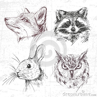 Set forest animals. Vector Illustration