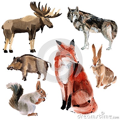 Set of forest animals. Watercolor illustration in white background. Cartoon Illustration