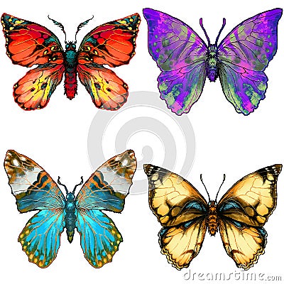 Set of four brightly coloured butterflies Stock Photo