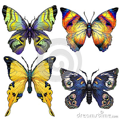 Set of four brightly coloured butterflies Stock Photo