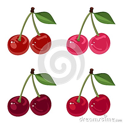 Set of four bunches of cherries. Vector Illustration