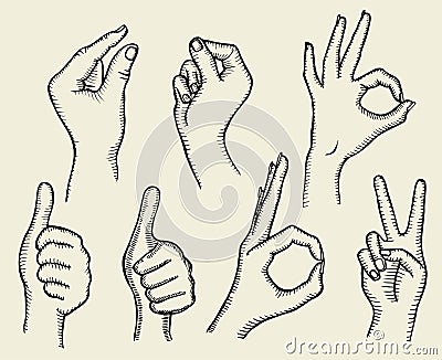 Set of Four Hands Vector Illustration