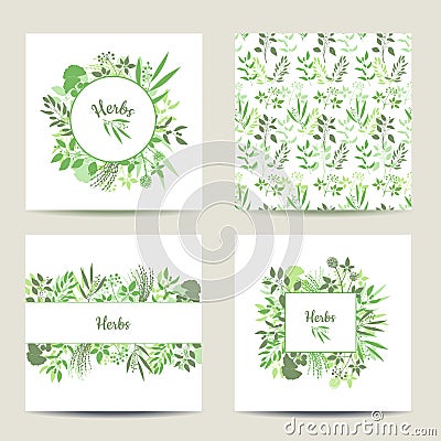 Set of four herbal card templates. Vector Illustration