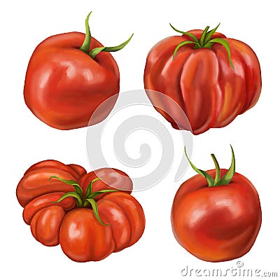 A set of four ripe red juicy tomatoes on white background. Digital illustration. Farmer's harvest of healthy vegetables Cartoon Illustration