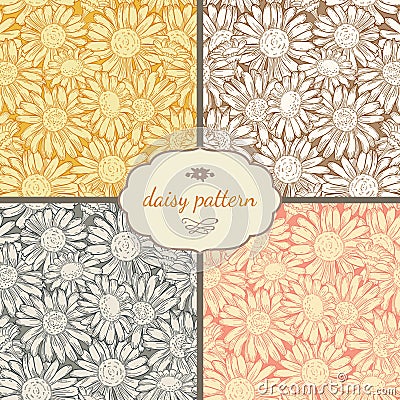 Set of four seamless daisy patterns Vector Illustration