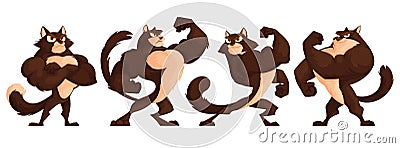 Set of Four strong and muscular cats posing. A brutal brown cat with an athletic figure in a bodybuilder's suit Vector Illustration