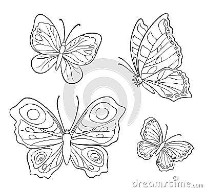 Vector butterflies in contours Vector Illustration