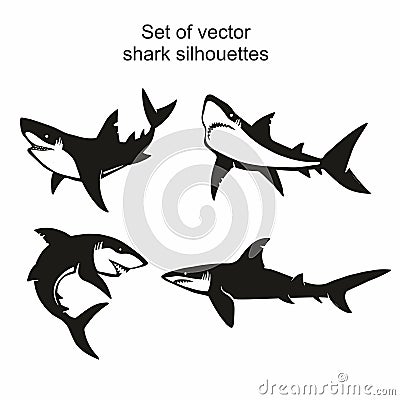 Set of four vector shark silhouettes isolated on white background, symbols, icon, design elements. Vector Illustration
