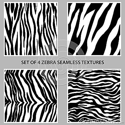 Set of four zebra seamless patterns collection Vector Illustration