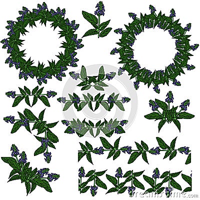 A set of frames, dividers, corners and borders made of fragrant herbs with purple flowers, plant decorative elements for design Vector Illustration