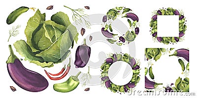 Set of frames of fresh vegetables and aromatic herbs. Gardening. Watercolor illustration of vegetarian products. Cartoon Illustration