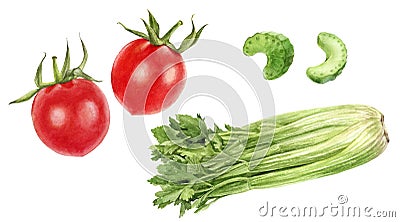 Set of frech celery with tomatoes watercolor illustration isolated on whitre background Cartoon Illustration