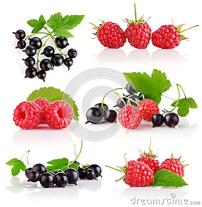 Set fresh berry fruits with green leaves Stock Photo
