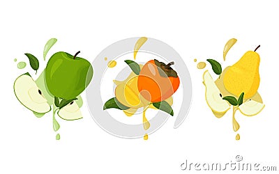 Set of fresh fruits with splashes. Persimmon, apple and pear with green leaves Vector Illustration